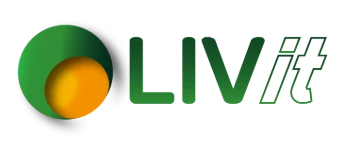 LiV-IT Consultancy